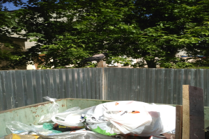 Eine Krähe sitzt auf einem Müllhaufen vor einem Metallzaun, mit Bäumen und Gebäuden im Hintergrund.