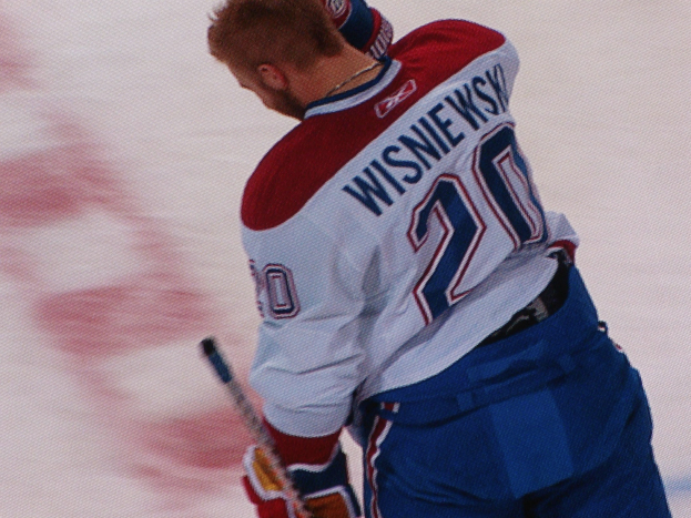 Professioneller Eishockeyspieler in einem 'Wisniewski'-Trikot, der einen Eishockeyschläger auf dem Eis hält und konzentriert schaut.