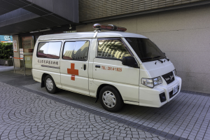 Ambulanz vor einem Gebäude mit einem Schild, das es als Notfahrzeug ausweist, umgeben von Bäumen und Pflanzen.