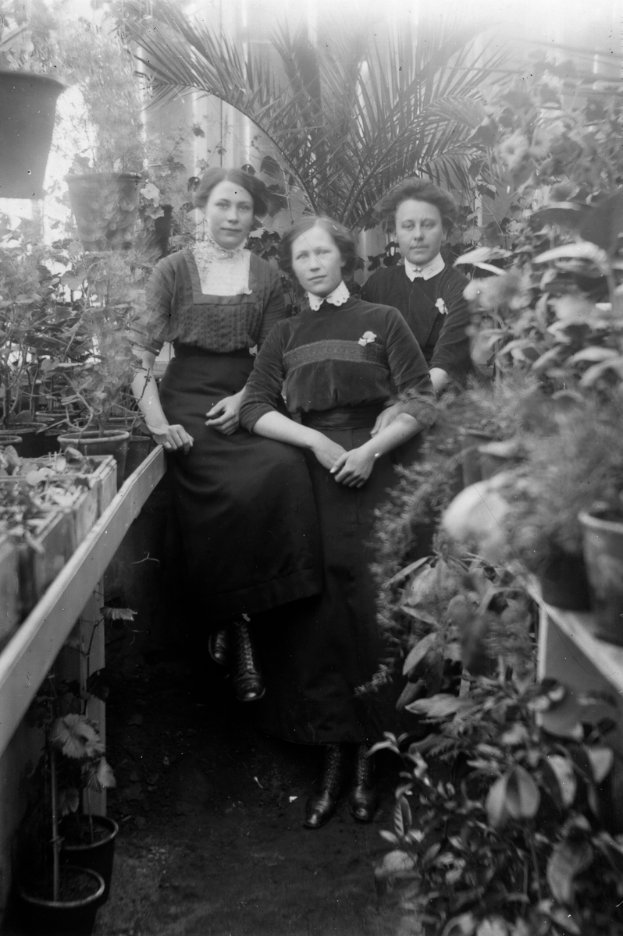 Drei Frauen sitzen auf einer Bank in einem Gewächshaus umgeben von Zimmerpflanzen, aufgenommen in Schwarzweiß.