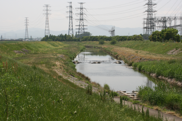 Ein Fluss fließt durch ein grünes Feld mit Stromleitungen, Gras, Pflanzen, Bäumen und Türmen im Vordergrund, mit Bergen und Himmel im Hintergrund.