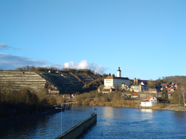 Ein malerischer Blick auf den Rhein in Deutschland, mit einer Brücke, Laternenpfählen, Bäumen, Gebäuden an den Ufern und einem Hügel im Hintergrund bei bewölktem Himmel.
