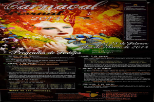 Eine Frau in einem bunten Kleid, die fröhlich in die Mitte eines leuchtend gelben Plakats schaut, umgeben von schwarzem Text in Fettschrift, der 'Carnaval Festival 2014' lautet.