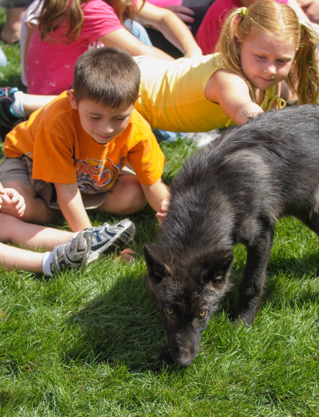 Kinder auf Gras mit einem Hund in der Nähe sitzend.