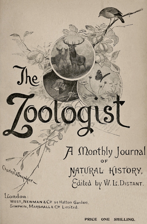 Ein Buch mit dem Titel "Der Zoologe: Ein monatliches Journal der Naturgeschichte" mit einem Vogel auf dem Cover umgeben von realistischen Illustrationen eines Rehs, Kaninchens und Fuchses in schwarzer Schrift.