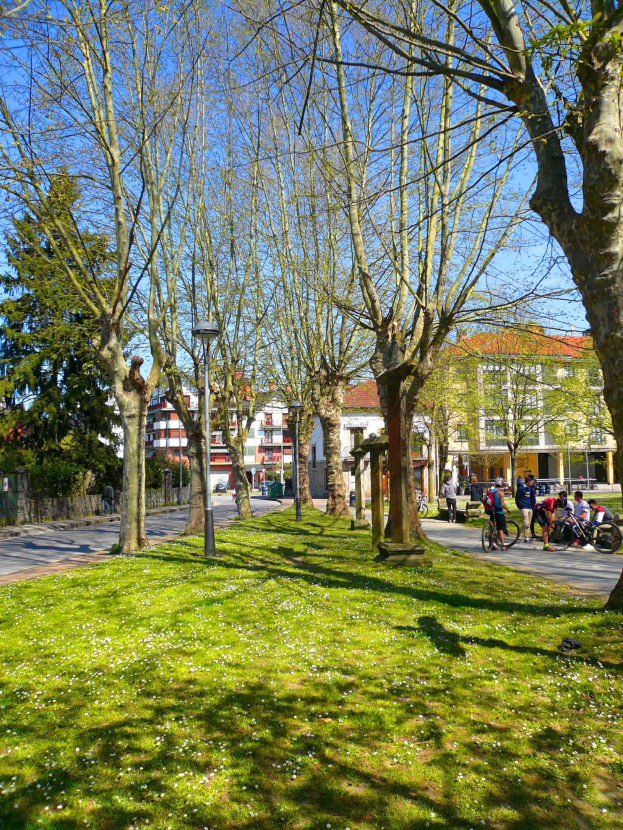 Ein Park mit grünem Gras, Bäumen, Menschen, die zu Fuß und mit dem Fahrrad unterwegs sind, und Gebäuden im Hintergrund unter einem klaren blauen Himmel.