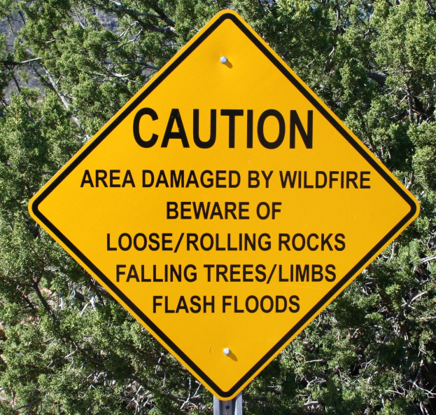 Gelbes Warnschild an einem Pfosten im Vordergrund, das vor Waldbrandschäden, losen Steinen, umstürzenden Bäumen und Überschwemmungen warnt, mit Bäumen im Hintergrund.