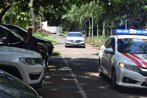 Ein Polizeiauto steht auf der Seite einer Straße neben anderen Fahrzeugen, mit einer Person auf der linken Seite der Straße, die ein Mobiltelefon hält, und einem Hintergrund mit Bäumen, Schildern, Pfosten, Pflanzen, Gras und einer Wand.