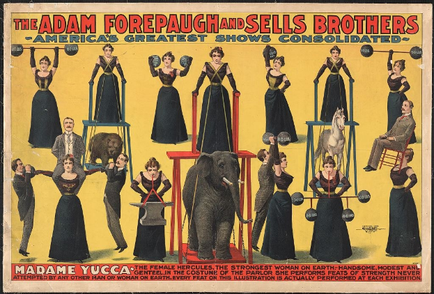 Plakat für Adam Forepaugh und Sells Brothers, Americas Greatest Shows Consolidated, das eine Gruppe von Menschen auf Hockern mit einem Elefanten in der Mitte und einigen mit Gegenständen zeigt, begleitet von Text.