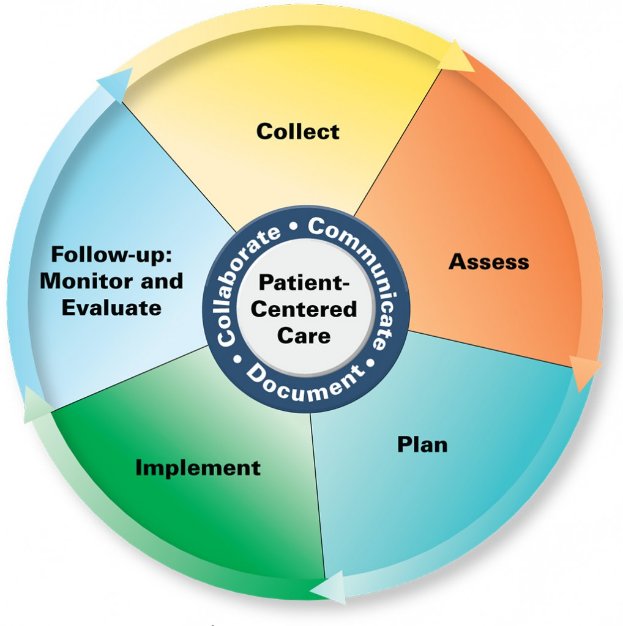 Ein Kreisdiagramm mit 'patientenorientierter Versorgung' in der Mitte, unterteilt in vier farbige Abschnitte, jeweils mit einer Beschreibung der Versorgung.