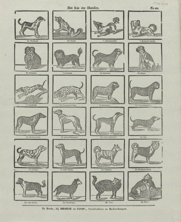 Ein altes Buch, das auf einer Seite mit Abbildungen verschiedener Hunderassen und begleitendem Text aufgeschlagen ist.