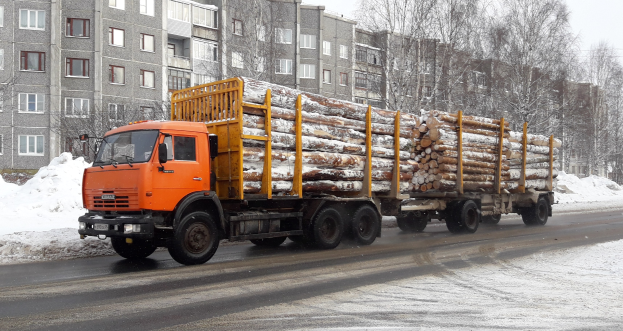 Lastwagen mit Holztransport auf verschneiter Straße mit Bäumen, Fenstergebäuden und einem klaren Himmel im Hintergrund.